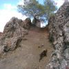 BILD0736