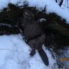 IMG 0376