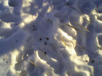 Прикрепленное изображение: Photo-0014.jpg