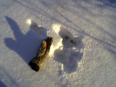 Прикрепленное изображение: Photo-0016.jpg