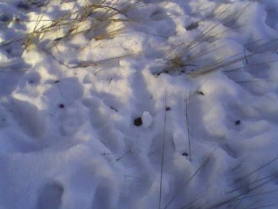 Прикрепленное изображение: Photo-0015.jpg