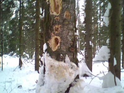 Прикрепленное изображение: IMG0016A.jpg