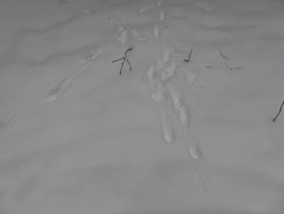Прикрепленное изображение: IMG_3173.jpg