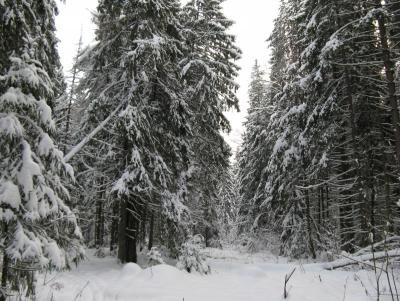 Прикрепленное изображение: IMG_3179.jpg