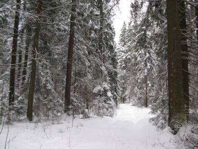 Прикрепленное изображение: IMG_3172.jpg