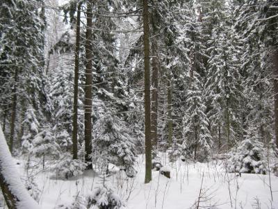 Прикрепленное изображение: IMG_3170.jpg