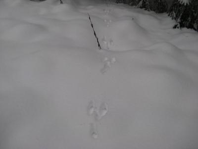 Прикрепленное изображение: IMG_3168.jpg
