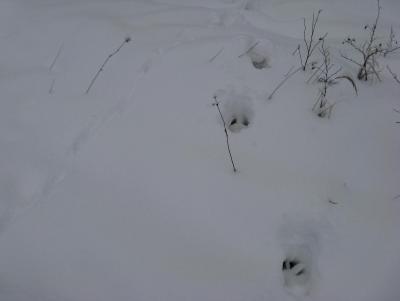 Прикрепленное изображение: IMG_3167.jpg