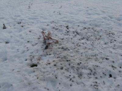 Прикрепленное изображение: IMG_3161.jpg