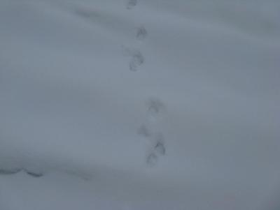 Прикрепленное изображение: IMG_3164.jpg