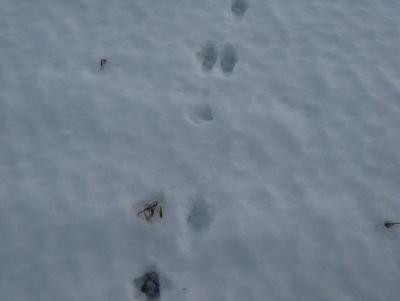 Прикрепленное изображение: IMG_3162.jpg