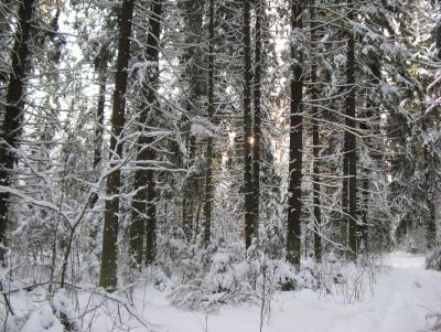 Прикрепленное изображение: IMG_3183.jpg