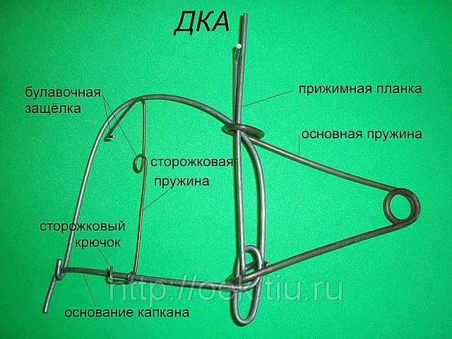 Капкан на щуку чертеж