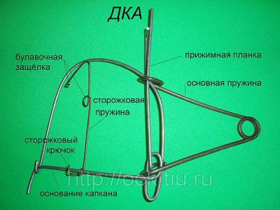 Прикрепленное изображение: 9655144_w640_h640_dka1.jpg