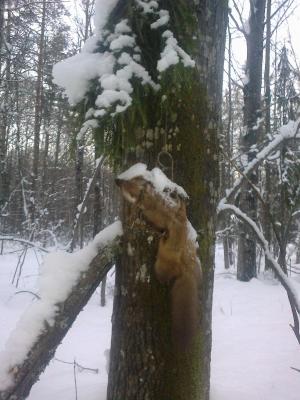 Прикрепленное изображение: 28012013042.jpg