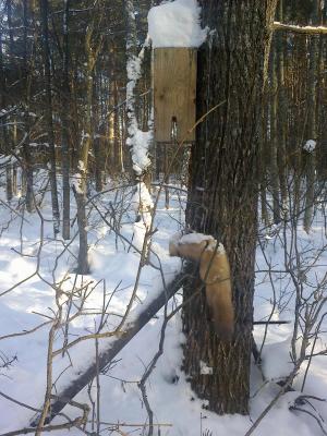 Прикрепленное изображение: 28012013037.jpg