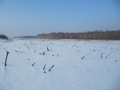 Прикрепленное изображение: IMG_0266.JPG