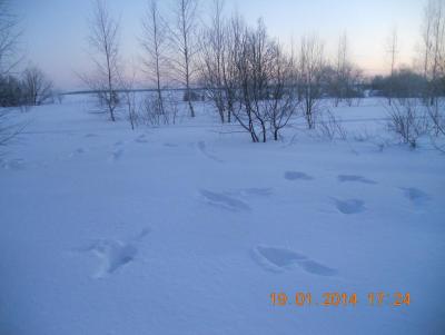 Прикрепленное изображение: DSCN0885.JPG