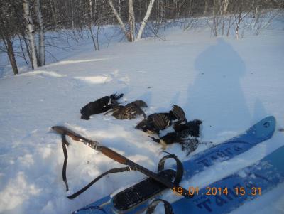 Прикрепленное изображение: DSCN0884.JPG