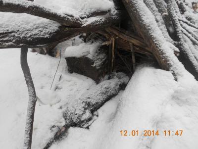 Прикрепленное изображение: DSCN0870.JPG