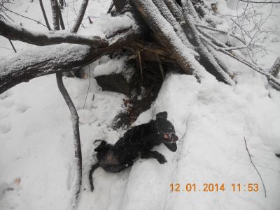 Прикрепленное изображение: DSCN0871.JPG