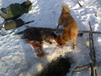 Прикрепленное изображение: 25012014071.jpg