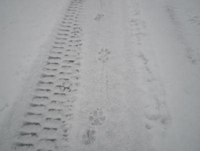 Прикрепленное изображение: PC200965.JPG
