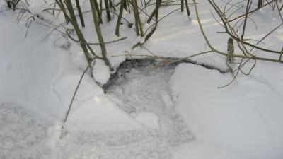 Прикрепленное изображение: IMG_0827.JPG