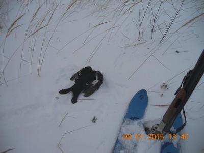 Прикрепленное изображение: DSCN1096.JPG