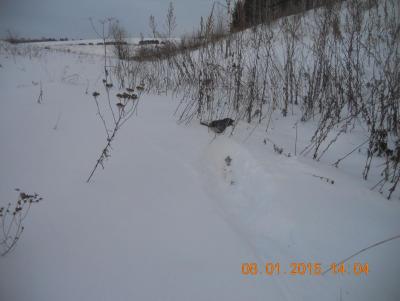 Прикрепленное изображение: DSCN1097.JPG