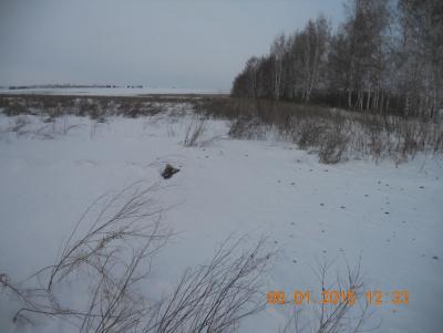 Прикрепленное изображение: DSCN1095.JPG