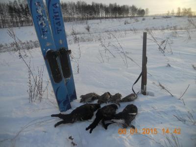 Прикрепленное изображение: DSCN1099.JPG