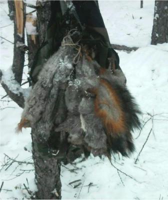 Прикрепленное изображение: 2012-12-089190f29774cc8ee82d384098f8c483__rsu-1000-800.jpg