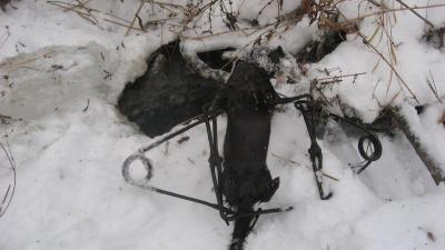 Прикрепленное изображение: IMG_1043.JPG