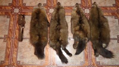Прикрепленное изображение: DSC00955.JPG
