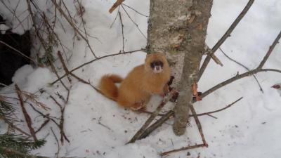 Прикрепленное изображение: DSC00976.JPG