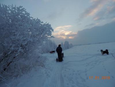 Прикрепленное изображение: DSCN7312.JPG