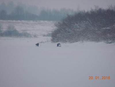 Прикрепленное изображение: DSCN7354.JPG
