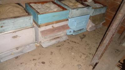 Прикрепленное изображение: DSC01788.JPG