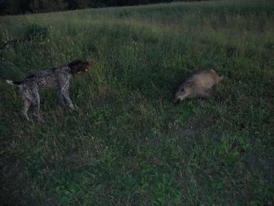 Прикрепленное изображение: DSCN4307.JPG