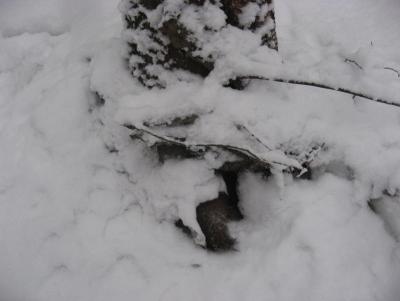 Прикрепленное изображение: IMG_1616.JPG