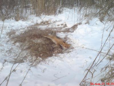 Прикрепленное изображение: DSC00247.JPG