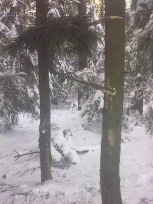 Прикрепленное изображение: 290120121237.jpg