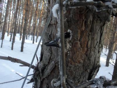 Прикрепленное изображение: DSC00076.JPG