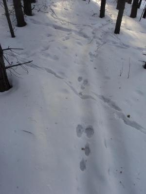 Прикрепленное изображение: DSC00087.JPG