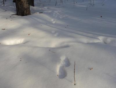 Прикрепленное изображение: DSC00084.JPG