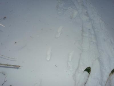 Прикрепленное изображение: DSC00091.JPG