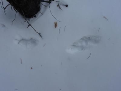 Прикрепленное изображение: DSC00083.JPG