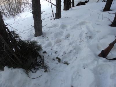 Прикрепленное изображение: DSC00080.JPG