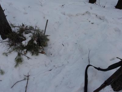 Прикрепленное изображение: DSC00095.JPG